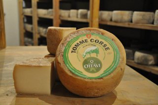 no title - source : vi_fromagerie_ottavi1.jpg