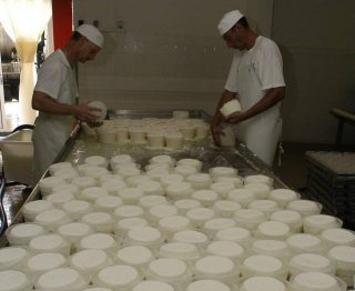 no title - source : vi_fromagerie_ottavi2.jpg